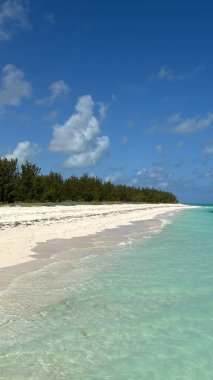 Turks ve Caicos Adalarındaki Kuzey Caicos 'taki At Ahırı Sahili' nden görüntü