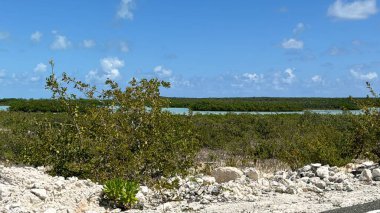 Turks ve Caicos Adaları 'ndaki Kuzey ve Orta Caicos Geçidi' nden görüntü