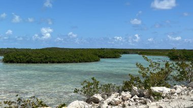 Turks ve Caicos Adaları 'ndaki Kuzey ve Orta Caicos Geçidi' nden görüntü