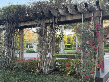 PROVIDENCIALES, TURKS & CAICOS - 20 APR: Providenciales 'teki Grace Bay Club, Turks ve Caicos Adaları, 20 Nisan 2024' te görüldüğü gibi.