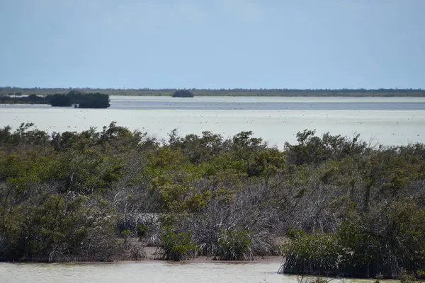 Stock image Flamingo Pond Overlook on North Caicos island in the Turks and Caicos Islands