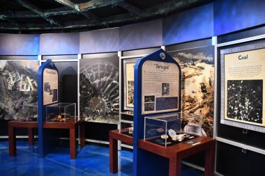 BRANSON, MO - 10 Temmuz 2023 'te Branson, Missouri' deki Branson İniş 'te gemi enkazı yapan Hazine Müzesi.