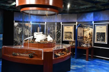 BRANSON, MO - 10 Temmuz 2023 'te Branson, Missouri' deki Branson İniş 'te gemi enkazı yapan Hazine Müzesi.