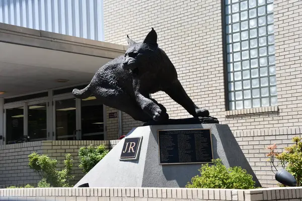 3 Temmuz 2023 'te Hollister, Missouri' deki Ozarks Koleji 'nde vaşak heykeli görüldü..