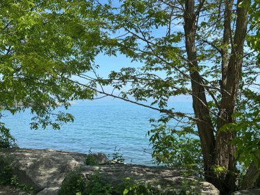 Ontario, Kanada 'daki Toronto yakınlarındaki Scarborough Kayalıkları' ndaki Bluffers Park 'ta.