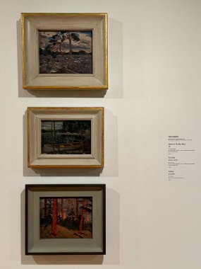 TORONTO, CANADA - 26 Mayıs 2024 'te Kanada' nın Toronto kentindeki Ontario Sanat Galerisinde sergi.