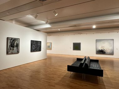TORONTO, CANADA - 26 Mayıs 2024 'te Kanada' nın Toronto kentindeki Ontario Sanat Galerisinde sergi.