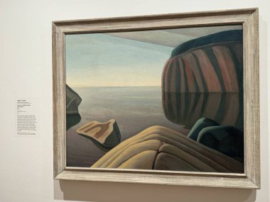 TORONTO, CANADA - 26 Mayıs 2024 'te Kanada' nın Toronto kentindeki Ontario Sanat Galerisinde sergi.