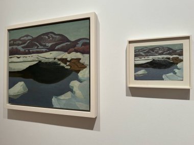 TORONTO, CANADA - 26 Mayıs 2024 'te Kanada' nın Toronto kentindeki Ontario Sanat Galerisinde sergi.