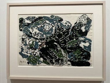 TORONTO, CANADA - 26 Mayıs 2024 'te Kanada' nın Toronto kentindeki Ontario Sanat Galerisinde sergi.