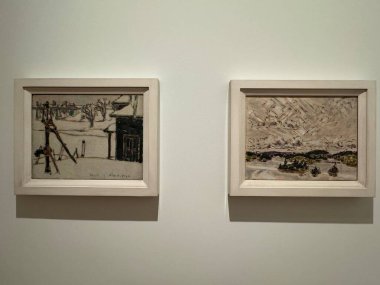 TORONTO, CANADA - 26 Mayıs 2024 'te Kanada' nın Toronto kentindeki Ontario Sanat Galerisinde sergi.