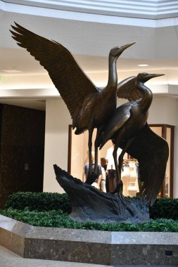 22 Haziran 2024 'te Denver, Colorado' daki Cherry Creek Alışveriş Merkezi 'nde görüldü..