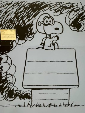 Snoopy ve Kızıl Baron, 22 Haziran 2024 'te Denver, Colorado' daki Rocky Hava ve Uzay Müzesi 'nde sergilendi..