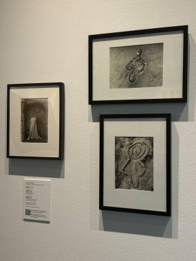 22 Haziran 2024 'te Denver, Colorado' daki Çağdaş Sanat Müzesi 'nde sergi açıldı..