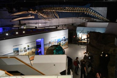 TORONTO, ON - 25 Mayıs 2024 'te Kanada' nın Toronto kentindeki Ontario Bilim Merkezi 'nde sergi.