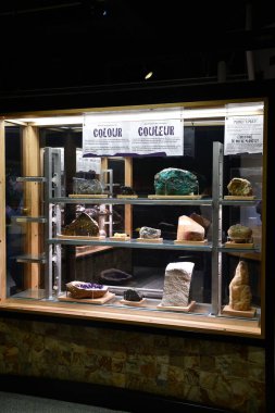 TORONTO, ON - 25 Mayıs 2024 'te Kanada' nın Toronto kentindeki Ontario Bilim Merkezi 'nde sergi.