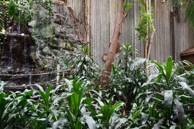 TORONTO, ON - 25 Mayıs 2024 'te Kanada' nın Toronto kentindeki Ontario Bilim Merkezi 'nde sergi.