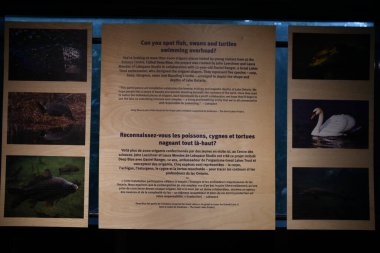 TORONTO, ON - 25 Mayıs 2024 'te Kanada' nın Toronto kentindeki Ontario Bilim Merkezi 'nde sergi.