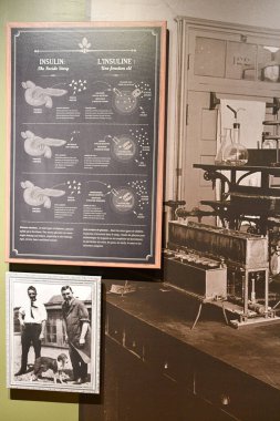 TORONTO, ON - 25 Mayıs 2024 'te Kanada' nın Toronto kentindeki Ontario Bilim Merkezi 'nde AstraZeneca Human Edge sergisi.