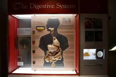 TORONTO, ON - 25 Mayıs 2024 'te Kanada' nın Toronto kentindeki Ontario Bilim Merkezi 'nde AstraZeneca Human Edge sergisi.