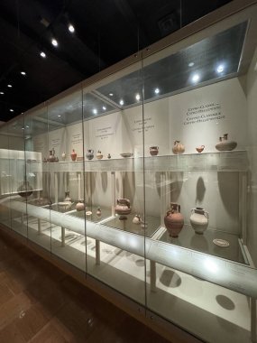 25 Mayıs 2024 'te Kanada' nın Toronto kentindeki Royal Ontario Müzesi 'nde sergi açıldı..