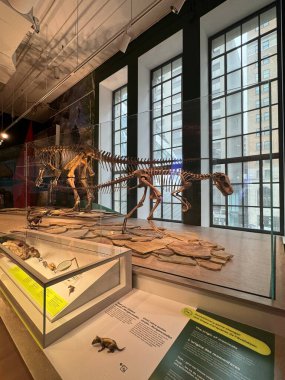 25 Mayıs 2024 'te Kanada' nın Toronto kentindeki Royal Ontario Müzesi 'nde sergi açıldı..