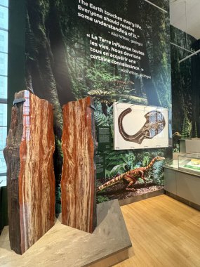 25 Mayıs 2024 'te Kanada' nın Toronto kentindeki Royal Ontario Müzesi 'nde sergi açıldı..