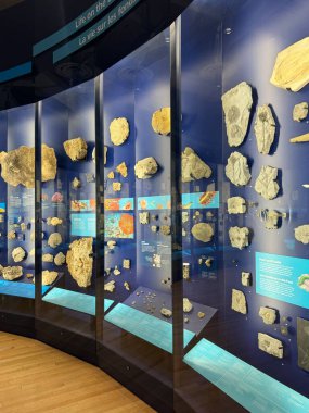 25 Mayıs 2024 'te Kanada' nın Toronto kentindeki Royal Ontario Müzesi 'nde sergi açıldı..