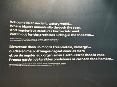 25 Mayıs 2024 'te Kanada' nın Toronto kentindeki Royal Ontario Müzesi 'nde sergi açıldı..