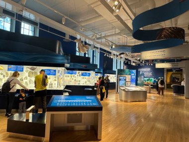 25 Mayıs 2024 'te Kanada' nın Toronto kentindeki Royal Ontario Müzesi 'nde sergi açıldı..