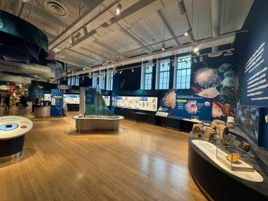 25 Mayıs 2024 'te Kanada' nın Toronto kentindeki Royal Ontario Müzesi 'nde sergi açıldı..