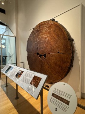 25 Mayıs 2024 'te Kanada' nın Toronto kentindeki Royal Ontario Müzesi 'nde sergi açıldı..