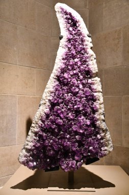 25 Mayıs 2024 'te Kanada' nın Toronto kentindeki Royal Ontario Müzesi 'nde sergi açıldı..