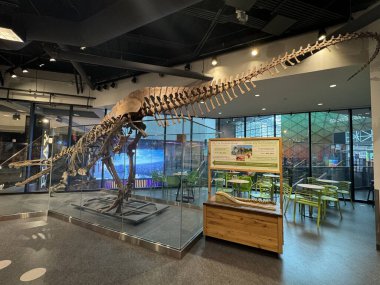 Chicago, IL - 3 Temmuz 2024 'te Illinois' deki Chicago Çocuk Müzesi 'nde sergi.