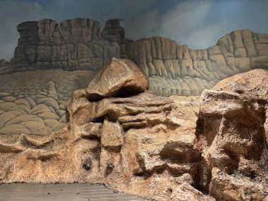 Chicago, IL - 3 Temmuz 2024 'te Illinois' deki Chicago Çocuk Müzesi 'nde sergi.