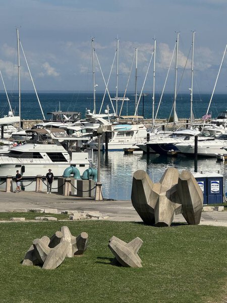 ЧИКАГО ИЛЬ - 3 ИЮЛЯ: Скульптура Core-loc Armoring Defense в Чикаго, штат Иллинойс, 3 июля 2024 года.