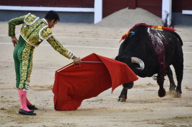 MADRID, İspanya - 15 Ağustos 2024 'te İspanya' nın Madrid şehrindeki Plaza de Toros de Las Ventas boğa güreşi ringinde görülen boğa güreşi.