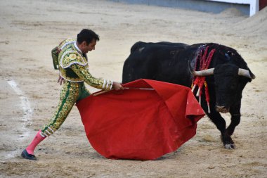 MADRID, İspanya - 15 Ağustos 2024 'te İspanya' nın Madrid şehrindeki Plaza de Toros de Las Ventas boğa güreşi ringinde görülen boğa güreşi.