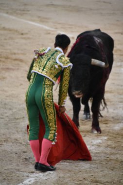 MADRID, İspanya - 15 Ağustos 2024 'te İspanya' nın Madrid şehrindeki Plaza de Toros de Las Ventas boğa güreşi ringinde görülen boğa güreşi.