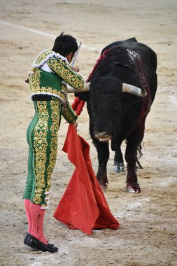 MADRID, İspanya - 15 Ağustos 2024 'te İspanya' nın Madrid şehrindeki Plaza de Toros de Las Ventas boğa güreşi ringinde görülen boğa güreşi.