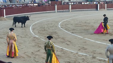 MADRID, İspanya - 15 Ağustos 2024 'te İspanya' nın Madrid şehrindeki Plaza de Toros de Las Ventas boğa güreşi ringinde görülen boğa güreşi.