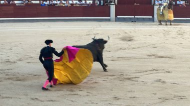 MADRID, İspanya - 15 Ağustos 2024 'te İspanya' nın Madrid şehrindeki Plaza de Toros de Las Ventas boğa güreşi ringinde görülen boğa güreşi.