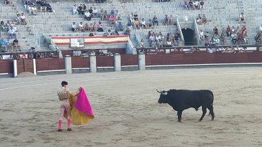 MADRID, İspanya - 15 Ağustos 2024 'te İspanya' nın Madrid şehrindeki Plaza de Toros de Las Ventas boğa güreşi ringinde görülen boğa güreşi.