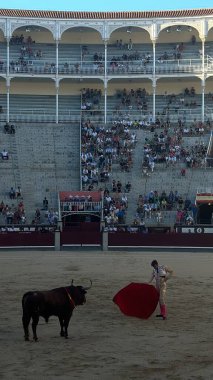 MADRID, İspanya - 15 Ağustos 2024 'te İspanya' nın Madrid şehrindeki Plaza de Toros de Las Ventas boğa güreşi ringinde görülen boğa güreşi.