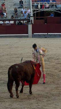 MADRID, İspanya - 15 Ağustos 2024 'te İspanya' nın Madrid şehrindeki Plaza de Toros de Las Ventas boğa güreşi ringinde görülen boğa güreşi.