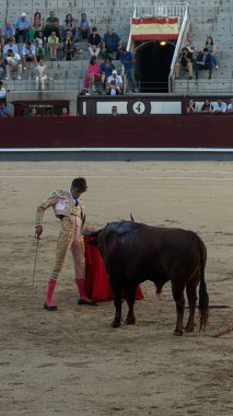 MADRID, İspanya - 15 Ağustos 2024 'te İspanya' nın Madrid şehrindeki Plaza de Toros de Las Ventas boğa güreşi ringinde görülen boğa güreşi.