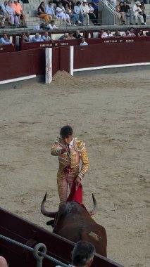 MADRID, İspanya - 15 Ağustos 2024 'te İspanya' nın Madrid şehrindeki Plaza de Toros de Las Ventas boğa güreşi ringinde görülen boğa güreşi.