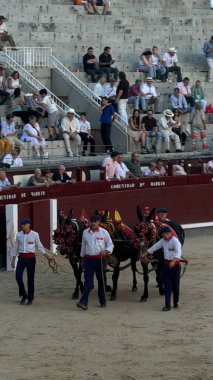 MADRID, İspanya - 15 Ağustos 2024 'te İspanya' nın Madrid şehrindeki Plaza de Toros de Las Ventas boğa güreşi ringinde görülen boğa güreşi.