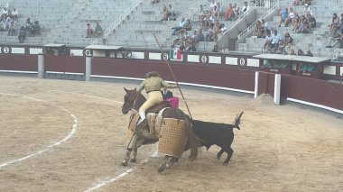 MADRID, İspanya - 15 Ağustos 2024 'te İspanya' nın Madrid şehrindeki Plaza de Toros de Las Ventas boğa güreşi ringinde görülen boğa güreşi.