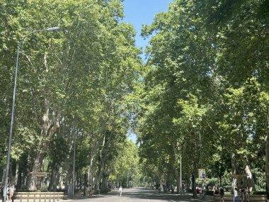 MADRID, İSPAN - 15 AUG: 15 Ağustos 2024 'te İspanya' nın Madrid şehrinde görüldüğü gibi.